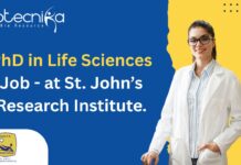 PhD in Life Sciences Job
