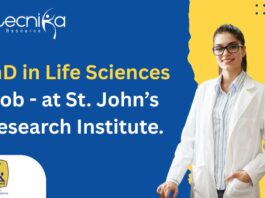 PhD in Life Sciences Job