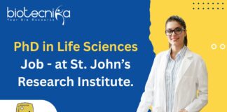 PhD in Life Sciences Job