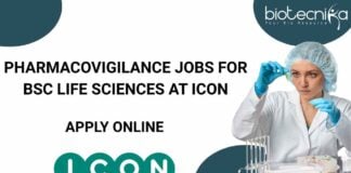 Pharmacovigilance Jobs For BSc Life Sciences