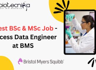 Latest BSc & MSc Job