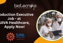 Production Executive Job