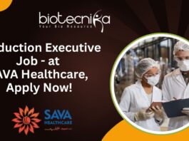 Production Executive Job