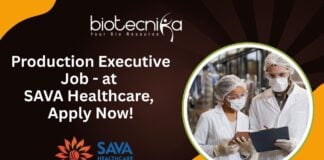 Production Executive Job