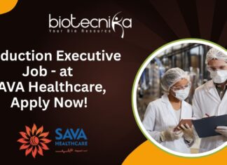 Production Executive Job