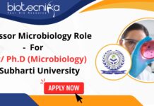 Professor Microbiology Role