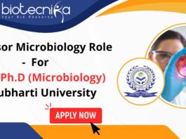 Professor Microbiology Role