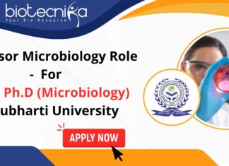 Professor Microbiology Role