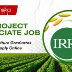IRRI Hyderabad Project Jobs