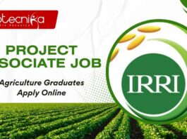 IRRI Hyderabad Project Jobs