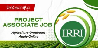 IRRI Hyderabad Project Jobs