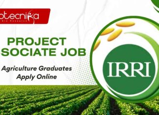 IRRI Hyderabad Project Jobs