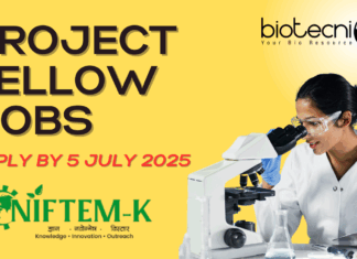 Project Fellow Jobs at NIFTEM – Apply by 5 July 2025