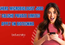 Freshers BSc Microbiology Job Openings