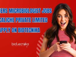 Freshers BSc Microbiology Job Openings