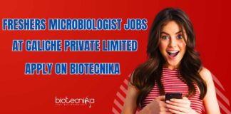 Freshers BSc Microbiology Job Openings