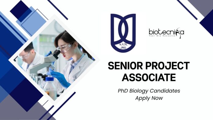 Senior Project Associate Job at JNU – PhD Biology Candidates Apply Now