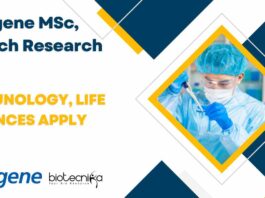 Syngene Immunology Jobs Bengaluru