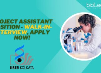 Project Assistant Position - Walk-in-Interview, APPLY NOW!