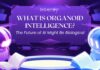 What Is Organoid Intelligence The Future of AI Might Be Biological