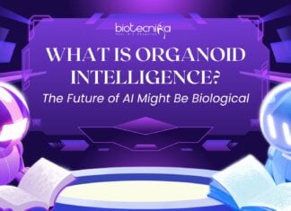 What Is Organoid Intelligence The Future of AI Might Be Biological