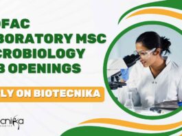 MSc Microbiology Job Openings
