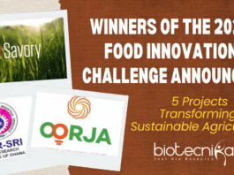 Winners of the 2024 Food Innovation Challenge Announced 5 Projects Transforming Sustainable Agriculture