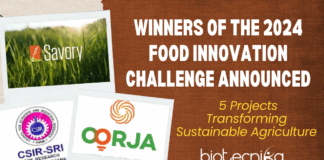 Winners of the 2024 Food Innovation Challenge Announced 5 Projects Transforming Sustainable Agriculture