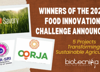 Winners of the 2024 Food Innovation Challenge Announced 5 Projects Transforming Sustainable Agriculture