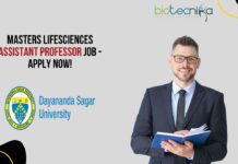 Biology Assistant Professor Job