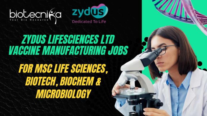 MSc Biotechnology Jobs Zydus