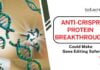 Anti-CRISPR Protein Breakthrough Could Make Gene Editing Safer