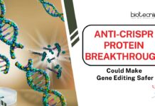 Anti-CRISPR Protein Breakthrough Could Make Gene Editing Safer