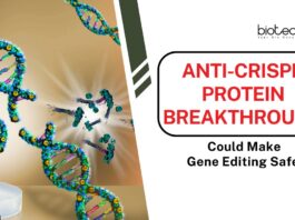Anti-CRISPR Protein Breakthrough Could Make Gene Editing Safer