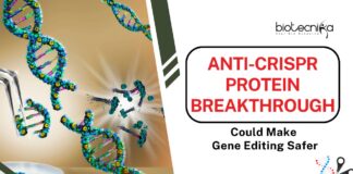 Anti-CRISPR Protein Breakthrough Could Make Gene Editing Safer