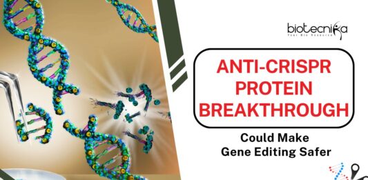 Anti-CRISPR Protein Breakthrough Could Make Gene Editing Safer