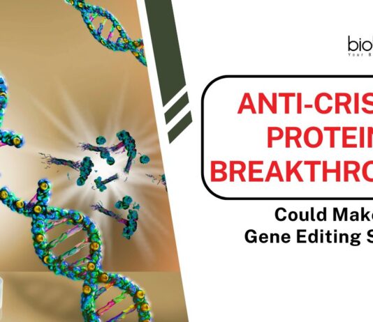 Anti-CRISPR Protein Breakthrough Could Make Gene Editing Safer