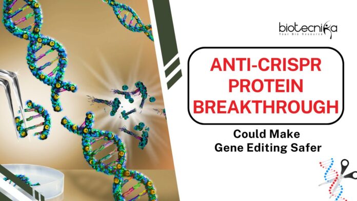 Anti-CRISPR Protein Breakthrough Could Make Gene Editing Safer