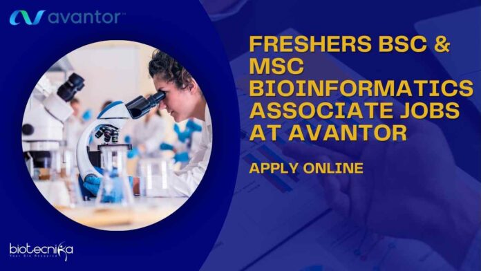 Freshers Bioinformatics MSc Jobs at Avantor