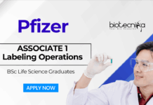 BSc Life Science Job at Pfizer Apply Now for the Associate Position in Labeling Operations (1)