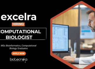 Bioinformatics Job at Excelra MSc Graduates Apply Now For the Computational Biologist Role