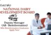 Bioinformatics Jobs at NDDB | Apply Now For The Deputy Manager (AB - Bioinformatics) Role