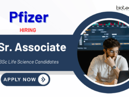 Biological Data Science Jobs at Pfizer | BSc Life Science Candidates Apply Now