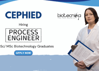 MSc Biotechnology Jobs at Cepheid | Apply Now for the Process Engineer Role