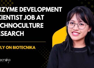 PhD Molecular Biology Jobs