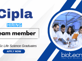 Life Science Jobs at Cipla | BSc Graduates Apply Now for the Team Member Position