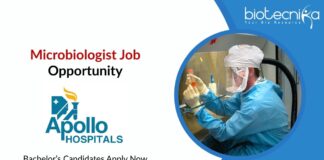 Microbiologist Job Opportunity Bachelor’s Candidates Apply Now