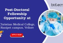 Post-Doctoral Fellowship Opportunity at Christian Medical College, Ranipet campus, Vellore