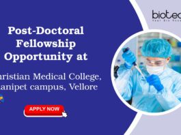 Post-Doctoral Fellowship Opportunity at Christian Medical College, Ranipet campus, Vellore