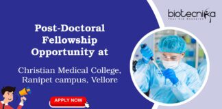 Post-Doctoral Fellowship Opportunity at Christian Medical College, Ranipet campus, Vellore